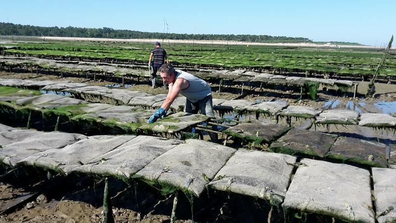 Savourez les huitres spéciales Lagarre produites avec beaucoup de soin et de rigueur