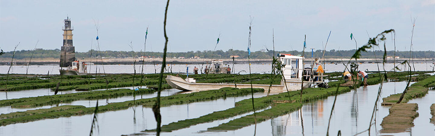 Bassin à huitres dans le bassin de Marennes-Oléron